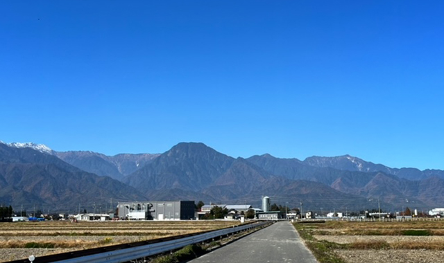 水稲田と北アルプス